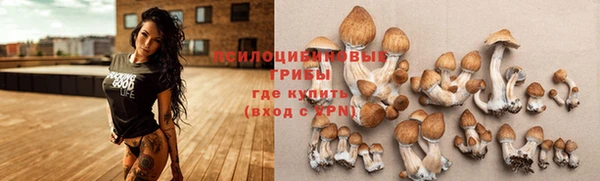 тгк Козловка