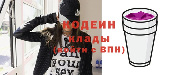 дмт Анива